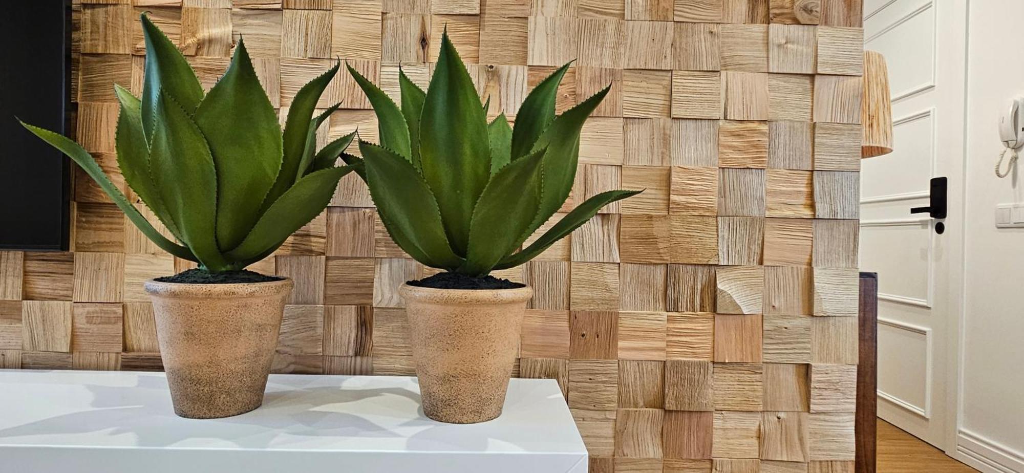 Casa "Avo Chupeta" - Nazare - Alojamento Local Luaran gambar